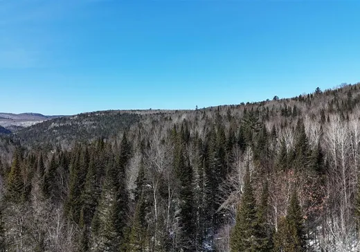 Terrain à vendre - 24 Ch. Mi-Max, St-Alexis-Des-Monts, J0K1V0