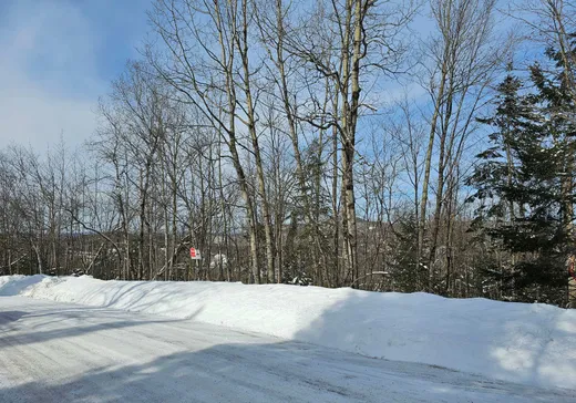 Land for sale -  Rue du Mont-Rainer, Sainte-Agathe-des-Monts, J8C0V6
