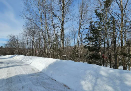 Terrain à vendre -  Rue du Mont-Rainer, Sainte-Agathe-des-Monts, J8C 0V6