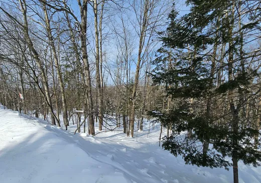Terrain à vendre -  Rue du Mont-Rainer, Sainte-Agathe-des-Monts, J8C 0V6