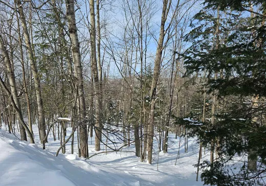 Terrain à vendre -  Rue du Mont-Rainer, Sainte-Agathe-des-Monts, J8C 0V6