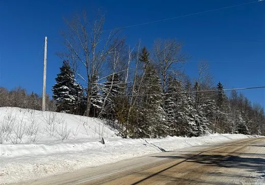 Land for Sale -  Ch. d'Entrelacs, Sainte-Marguerite-du-Lac-Masson, J0T 1L0