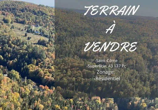 Terrain à vendre -  Rg Petit-Beloeil, St-Come, J0K2B0