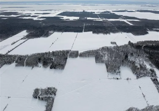 Terrain à vendre - 2848Z Ch. Royal, Sainte-Famille, G0A3P0