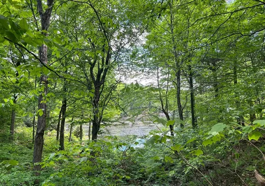 Land for sale -  Ch. des Castors, Wentworth, J8H0A8