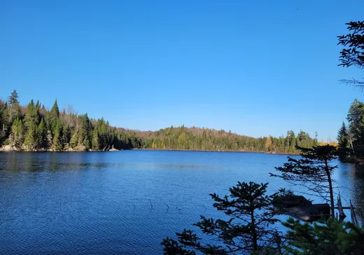 Terrain à vendre -  Ch. des Pommiers, St-Adolphe d'Howard, J0T2B0