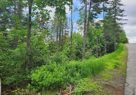 Terrain à vendre -  Rue Valérie, Sainte-Agathe-des-Monts, J8C 0E2