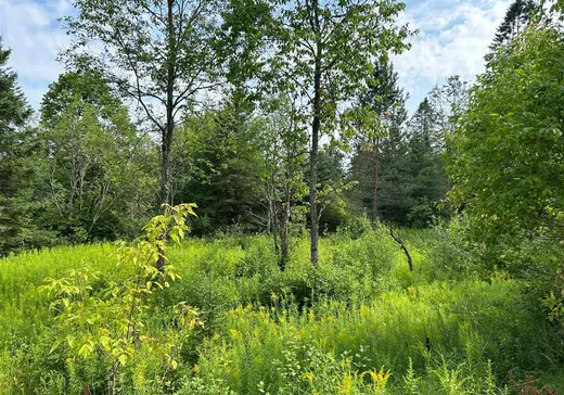 Terrain à vendre -  Ch. de Barkmere, Notre-Dame-de-la-Merci, J0T 1A0