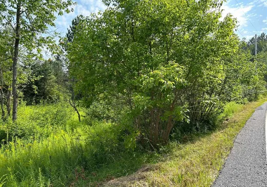 Terrain à vendre -  Ch. de Barkmere, Notre-Dame-de-la-Merci, J0T 1A0