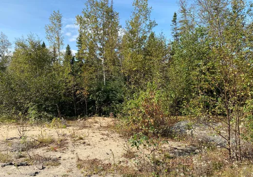 Terrain à vendre - 407 Rue Montigny, Sept-Îles, G0G 1L0