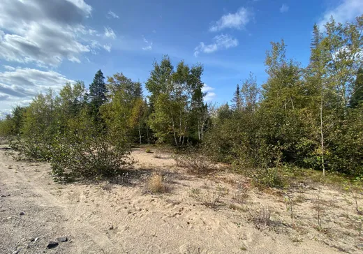 Terrain à vendre - 427 Rue Montigny, Sept-Îles, G0G 1L0