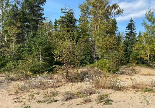 Terrain à vendre - 427 Rue Montigny, Sept-Îles, G0G 1L0