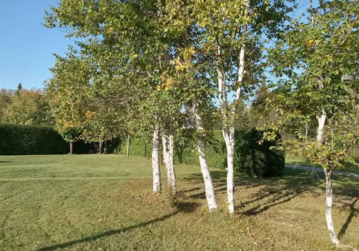 Terrain à vendre - 123 Chemin Des Cantons, Saint-Antonin, G0L 2J0