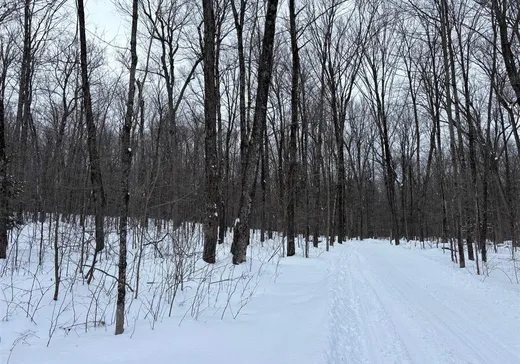Land for Sale -  Route Sir-Wilfrid-Laurier, Mirabel, J7N 1L5