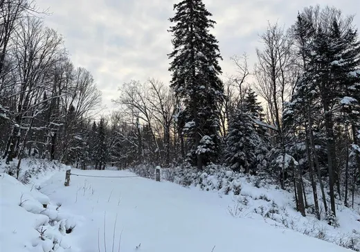 Terrain à vendre -  Boul. St-Francois, Mont-Laurier, J0W1H0