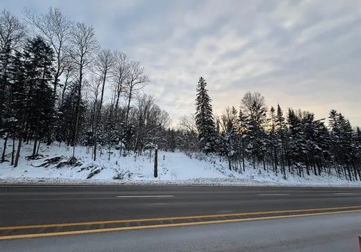 Terrain à vendre -  Boul. St-Francois, Mont-Laurier, J0W 1H0