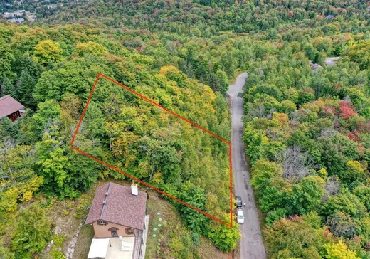 Land for Sale -  Rue Diana, Val David, J0T 2N0
