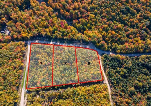 Land for Sale -  Mtée Lemay, Lac-Des-Aigles, G0K 1V0