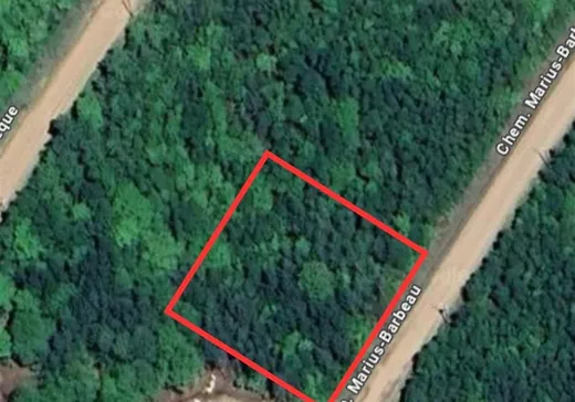 Land for Sale -  Ch. Marius-Barbeau, Petite-Riviere-St-Francois, G0A 2L0