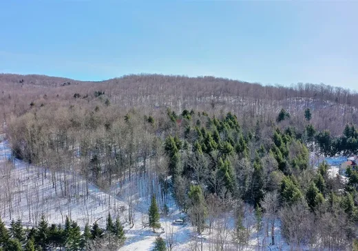 Land for Sale -  Ch. Schoolcraft, Mansonville, J0E 1X0