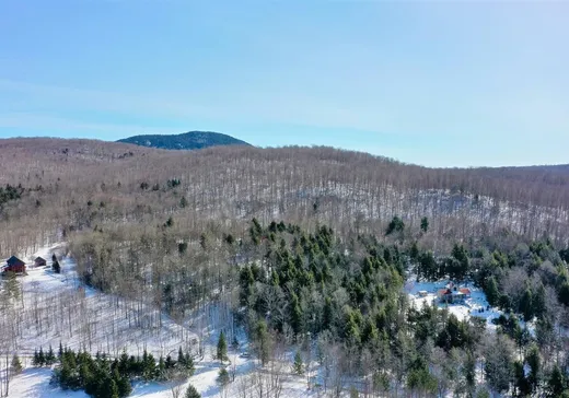 Land for Sale -  Ch. Schoolcraft, Mansonville, J0E 1X0