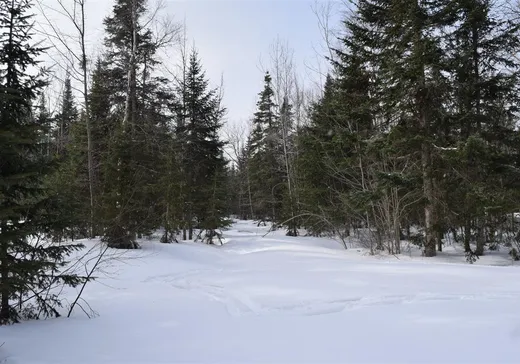 Terrain à vendre - 5272 Route 214, Lac-Mégantic, G0Y 1G0