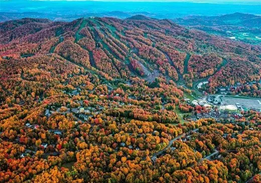Terrain à vendre -  Rue de Stanstead, Bromont, J2L1K9