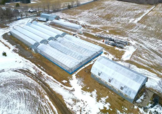 Terrain à vendre - 25 Ch. North, Magog, J0B 2C0