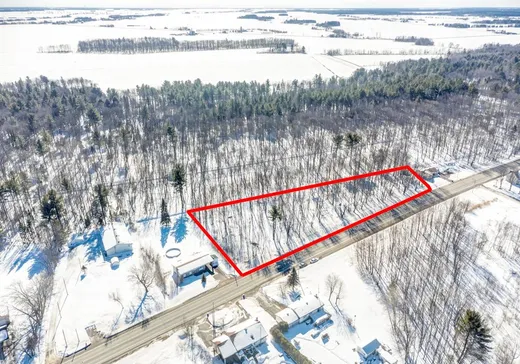 Terrain à vendre -  Route Marie-Victorin O., Yamaska, J0G1W0