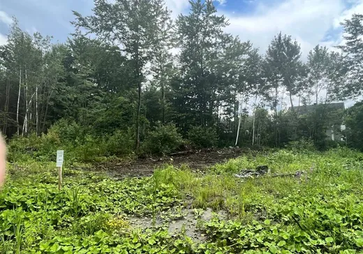 Terrain à vendre -  Crois. Caroline-Aigle, Lachute, J8H 0V1