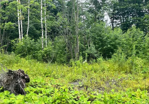 Terrain à vendre -  Crois. Caroline-Aigle, Lachute, J8H 0V1