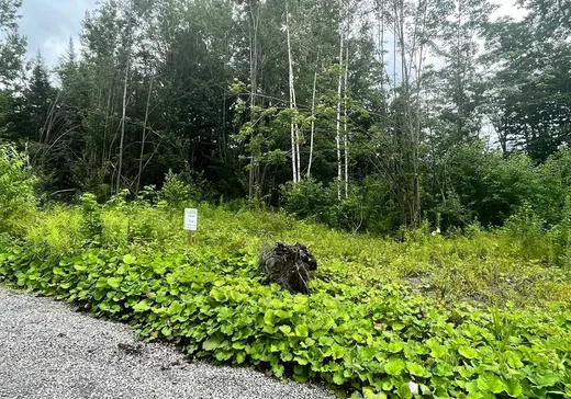 Terrain à vendre -  Crois. Caroline-Aigle, Lachute, J8H 0V1