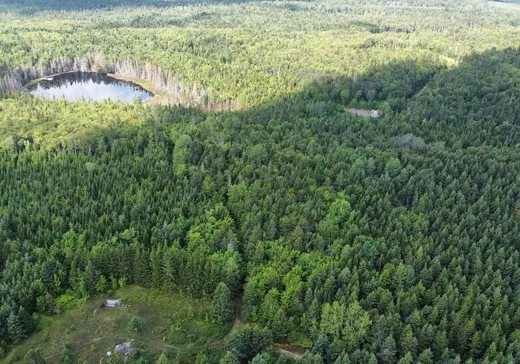 Terrain à vendre - 3306 Route du Peintre, Causapscal, G0J2V0