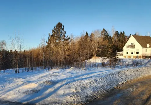 Terrain à vendre - 21 Rue des Chutes, St-Alban, G0A3B0