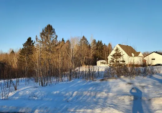 Terrain à vendre - 21 Rue des Chutes, St-Alban, G0A 3B0