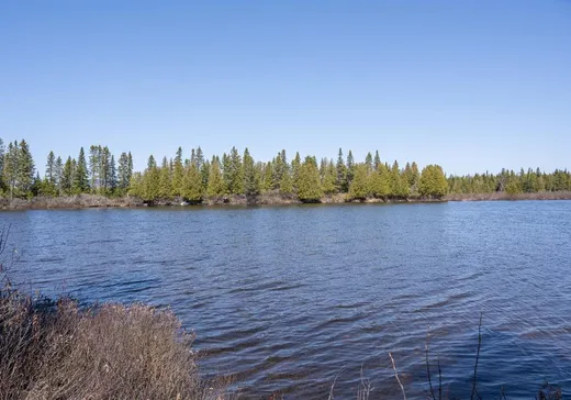Terrain à vendre -  Rue du Panache, Frontenac, G6B 2S3