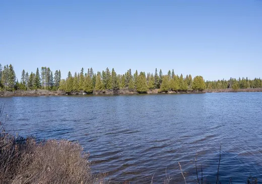 Terrain à vendre -  Rue du Panache, Frontenac, G6B2S3