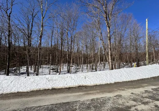 Terrain à vendre -  Rue des Merisiers, Saint-Augustin-de-Desmaures, J0B 1B0