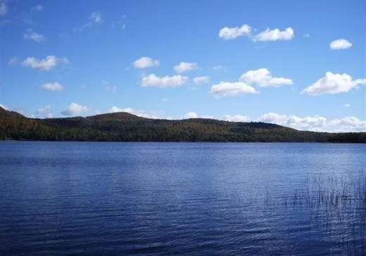 Terrain à vendre -  Rue du Panache, Frontenac, G6B2S3