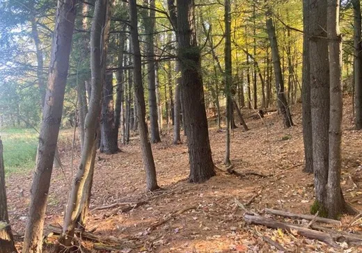 Terrain à vendre -  Ch. Ojai, Chelsea, J9B 1Y7