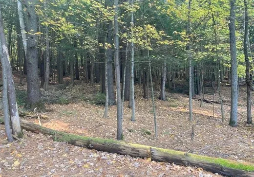 Terrain à vendre -  Ch. Ojai, Chelsea, J9B 1Y7