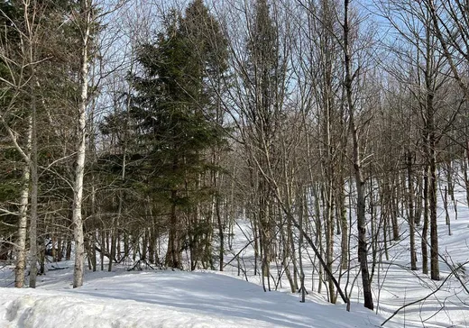 Land for Sale -  Rue G.-Goodenough, Weedon, J0B 3J0