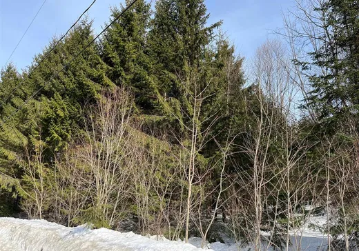 Land for Sale -  Rue G.-Goodenough, Weedon, J0B 3J0
