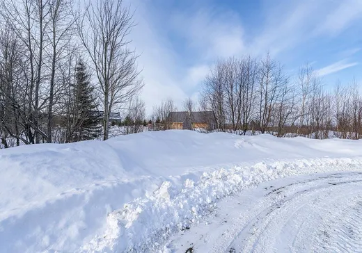 Terrain à vendre - 117 Ch. Lyon, Coaticook, J1A 2S4