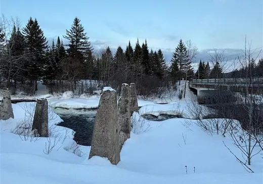 Terrain à vendre - 1090 Ch. de la Rivière, Sainte-Agathe-des-Monts, J8C 0X8