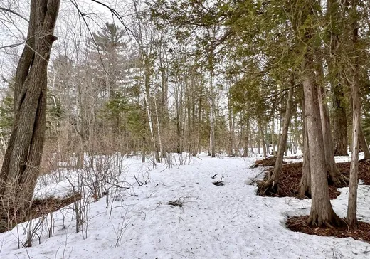 Terrain à vendre - 339 Rue des Roses, Victoriaville, G6T 0X9