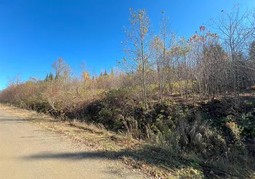 Terrain à vendre - 90 Ch. du Rat-Musqué, Notre-Dame-Des-Boies, J0B2E0