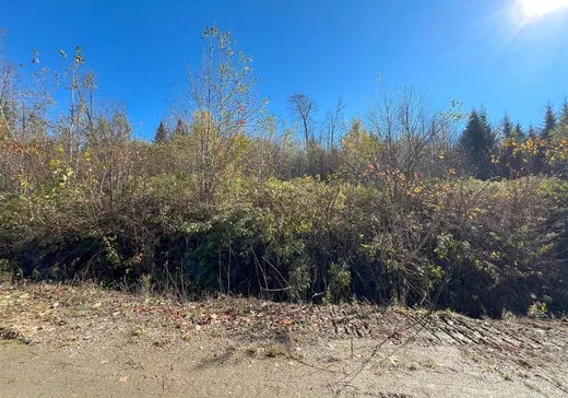 Terrain à vendre - 90 Ch. du Rat-Musqué, Notre-Dame-Des-Boies, J0B 2E0