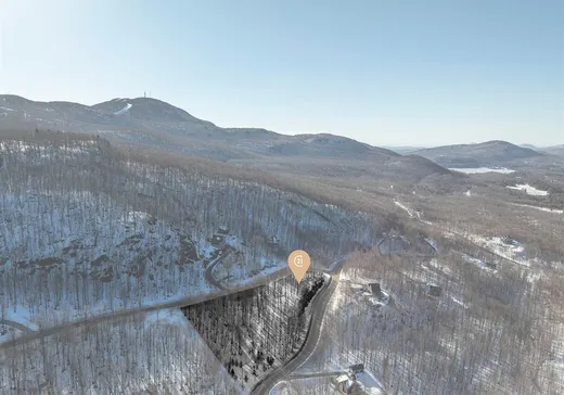 Terrain à vendre -  Ch. du Mousqueton, Eastman, J0E1P0