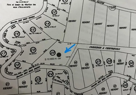 Terrain à vendre -  Mtée des Bois-Ronds, Chertsey, J0K 3K0